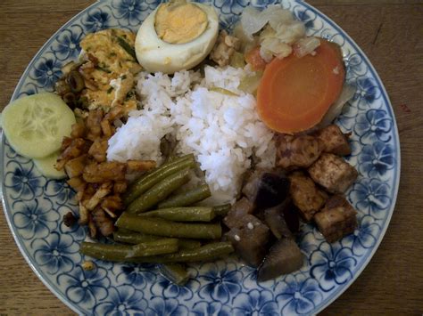 elke dag vegetarisch indonesisch