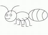 Coloring Fourmi Hormiga Insects Preschool Coloriages sketch template