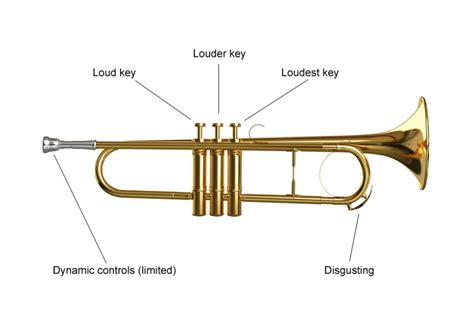 trumpet musical instrument instruction diagrams     instrument classic fm