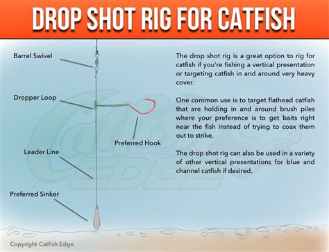 drop shot rig  heavy cover catfish