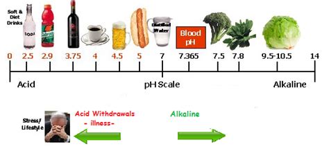 Know Why An Alkaline Diet May Cure Cancer