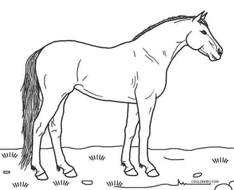 printable coloring sheets horses  printable horse horse coloring