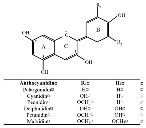 molecules  full text anthocyanins