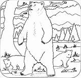 Ours Coloriages Grizzly Oursons Openclipart Dessins Forêt sketch template