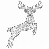 Reindeer Coloring Deer Zentangle Christmas Vector Antistress Stock sketch template