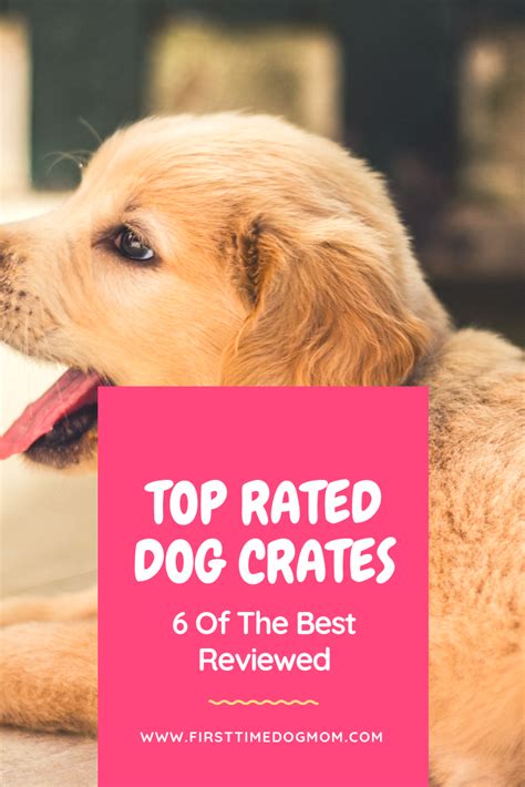 top rated dog crates  reviewed   article find   pros  cons
