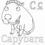 Capybara Coloring Pages Easy Animal Sheets Choose Board sketch template