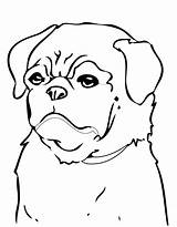 Pug Coloring Pages Print Printable Getcolorings Color sketch template
