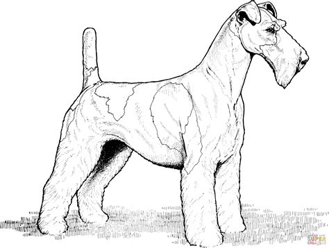 rescue dog colouring pages clip art library vrogueco