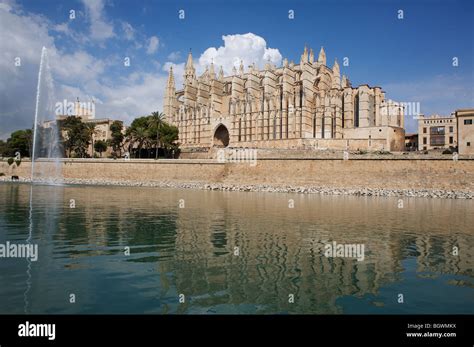 la seu cathedral  palma de mallorca spain    parc de la mar stock photo alamy