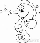Seahorse Clipart Drawing Outline Clip Animals Sea Horse Cartoon Marine Kids Animal Life Cute Drawings Seahorses Coloring Draw Pages Search sketch template
