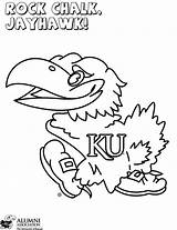 Kansas Ku Jayhawk Coloringhome sketch template