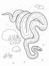 Serpenti Serpente Striscia Disegnidacolorare Biscia Mostri Ispirazione Seguito Popolare sketch template