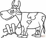 Colorir Mewarnai Cow Krowa Sapi Kuh Vacas Desenhos Kolorowanki Malvorlagen Vaca Druku Kolorowanka Krówka Krowy Mucca Ausmalbild Lucu Krowka Pastwisku sketch template