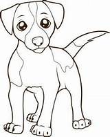 Jack Russell Terrier Drawing Coloring Dog Dessin Pages Drawings Russel Chien Cartoon Animals Draw Kids Step Face Coloriage Colorier Puppy sketch template