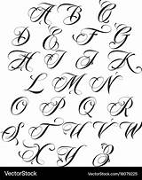 Calligraphy Alphabet Vector Fonts Lettering Fancy Tattoo Royalty Vectors Cursive sketch template