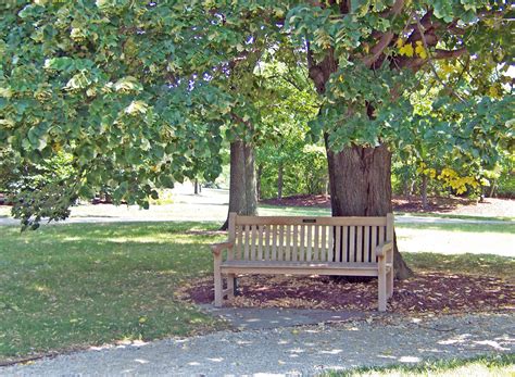 park bench  stock photo public domain pictures