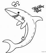 Requin Imprimer Requins Toupty Peux Dessus Boutons Fonctionnent Navigateur sketch template