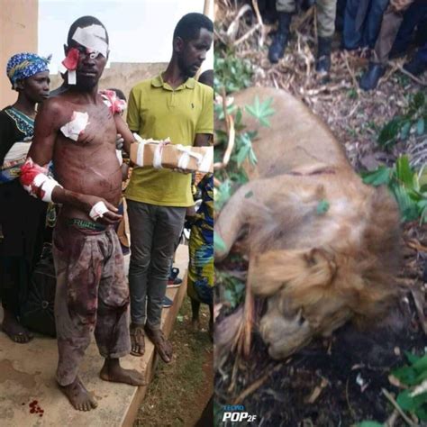 uganda man killed lion   bare hands