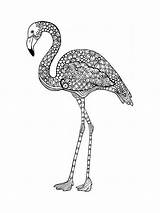 Pages Coloring Flamingo Zentangle Adults Adult Mycoloring Printable sketch template