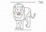 Lion Male Pages Coloring Getcolorings sketch template