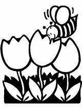 Spring Coloring Pages Clipart Flowers Bee Printable Springtime Cartoon Kids Colouring Breaks Tulips Clip Color Sheets Easy Print Flower Sheet sketch template