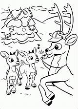 Rudolph Coloring Reindeer Pages Nosed Red Christmas Clarice Printable Kids Santa Print Sheets Book Nose Colouring Rudolf Color Reindeers Clipart sketch template