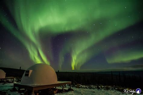 aurora   cozy bed   unbelievable igloos  alaska