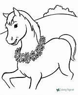 Horse Coloring Pages Color sketch template