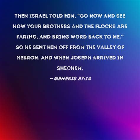 genesis   israel told        brothers