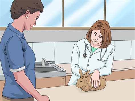 how to determine the sex of a rabbit 10 steps with pictures