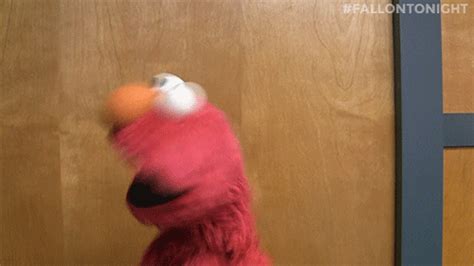 tonight show elmo find and share on giphy