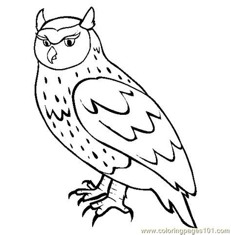 owl coloring pages  printables coloring pages owl animals