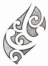 Maori Polynesian Samoan Thehoundofulster sketch template