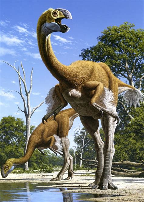 gigantoraptor google search dinosaur art prehistoric animals