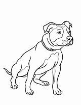 Pitbull Bull Pit Coloring Pages Dog Drawing Line Drawings Nose Red Animal Printable Pitbulls Puppy Coloringcafe Colouring Getdrawings Color Cool sketch template