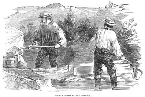 posterazzi california gold rush  nminers washing gold