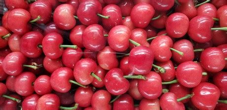 chinese cherries  enter  domestic market  bulk  late april