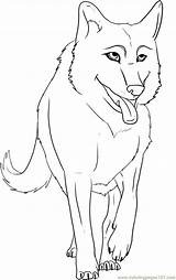 Draw Wolf Cartoon Anime Easy Step Clipart Coloring Alpha Wolves Pages Printable Animals Drawings Color Kids Dragoart Online Drawing Forest sketch template