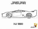 Jaguar Pagani sketch template