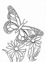 Butterfly Coloring Print Pages Printable Color Flower Butterflies Flowers Kids Paintable Copy Sheets Adult Adron Mr Above sketch template