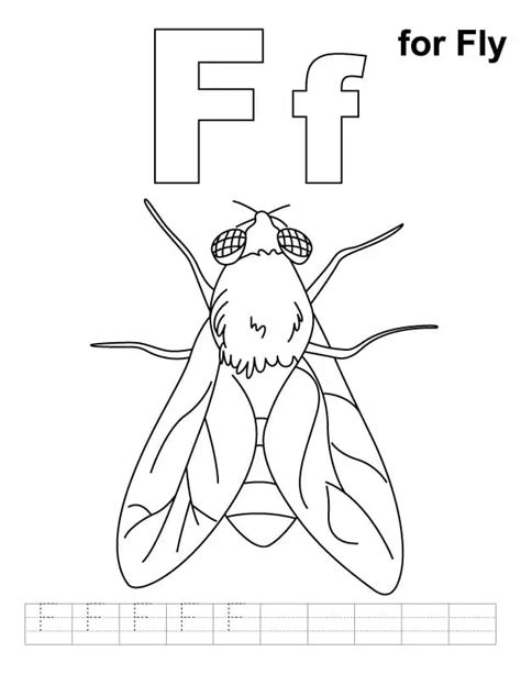 fly guy image coloring pages coloring cool