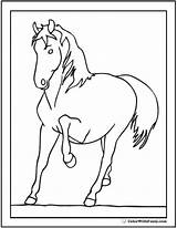 Coloring Horse Trot Trotting Pages Riding Prancing Colorwithfuzzy Head sketch template