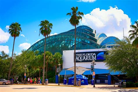florida attractions  activities   virtually enjoy  home viewpoint realty international