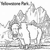 Bison Yellowstone Drawing sketch template