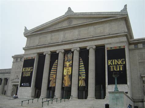 nominal  king tut   field museum
