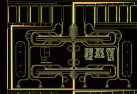 chip quantum optics  photonic circuits