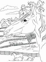 Coloring Pages Country Western Colouring Printable Adult Horse Sheets Scenes Book Color Dover Publications Doverpublications Welcome Kids Getcolorings Creative Catalog sketch template