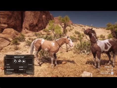 red dead redemption  location   american paint horses youtube