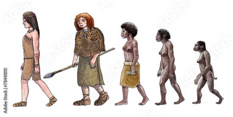 Human Evolution Female Kaufen Sie Diese Illustration Und Finden Sie